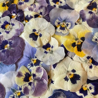 Dried Natural Flowers