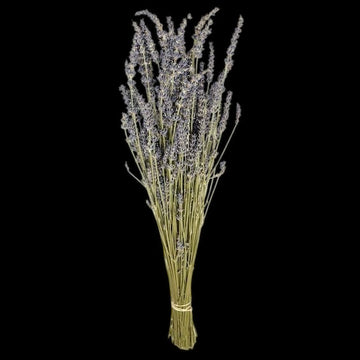 Dried Lavander