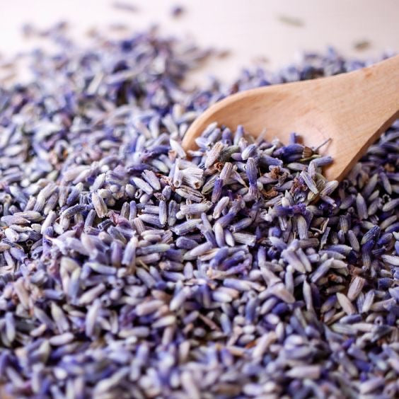 Lavender Buds Dried Flowers