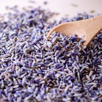 Lavender Buds Dried Flowers