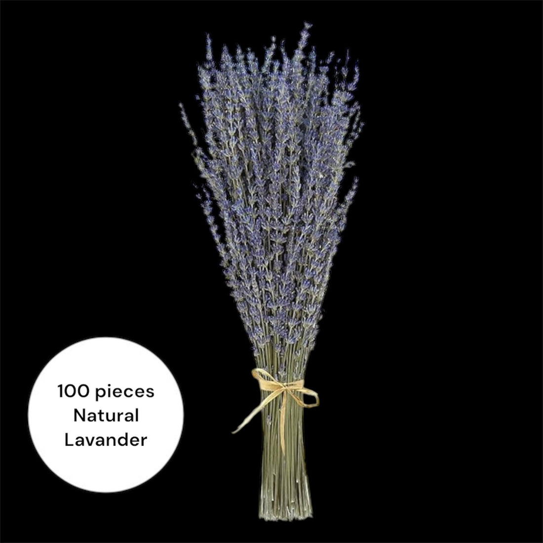 Dried Lavander